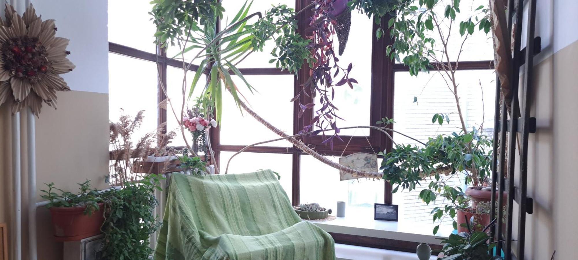Green Land House Belgrade Luaran gambar